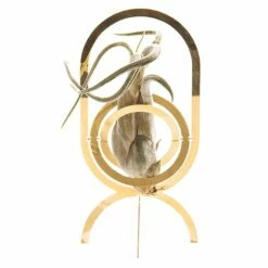 Fundamental Berlin Air Trophy Kasviteline, Messinki