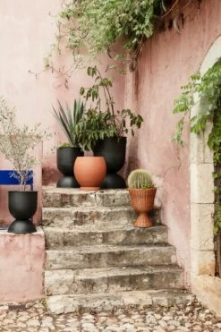 Ferm LIVING Agnes Kukkateline, 45 Cm, Rottinki -FINISH DESIGN Myymälä fermLIVING SS22 AgnesPlantStandLow AndoPot image 1