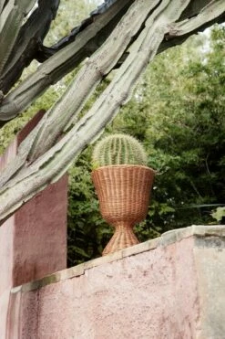 Ferm LIVING Agnes Kukkateline, 45 Cm, Rottinki -FINISH DESIGN Myymälä fermLIVING SS22 AgnesPlantStandLow Natural image 1