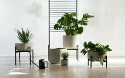 Elementa Klorofyll Ruukku Jalustalla, Korkea, Harmaa -FINISH DESIGN Myymälä klorofyllanderssenvollforelementa